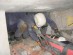 James Yates / Urban Search and Rescue