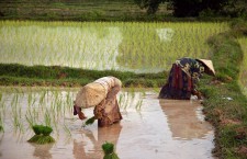 Dave Hall Around the World