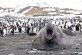 Sam Crimmin / Yawn