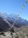 Tom Buckman / Nepal Mountain Medicine Course