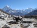 Tom Buckman / Nepal Mountain Medicine Course