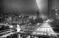 Matt WIlkes / Brooklyn Bridge