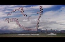 Calibrate – A kiteboarding film