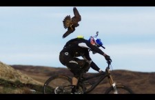 Peregrine Falcon vs. Gee Atherton