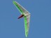 Hang Gliding / Tom Yeoman in the air