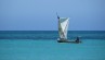 A pirogue