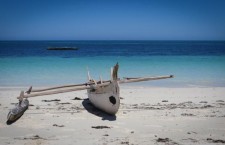 Marine Biology and Mental Illness in Madagascar