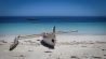 A pirogue on the beach