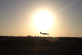 The aircraft just before landing