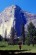 El Cap Meadows