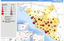 Ebola: how to volunteer & the UK response