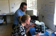Tropical Medicine in Practice Course - Malawi