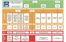 AM Guide to Marine Envenomation