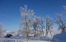 WEM Polar Medicine Course