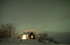 Wilderness under the Northern Lights
