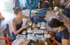 Expedition Medicine (Dis)Organisation