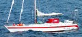 Pelagic