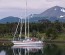 Pelagic in Puerto Williams