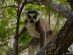 Madagascar has a lot more to offer than occasional forest fires!