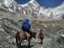 Not a good strategy. A trekker is carried on horseback to Base Camp after being too sick to ascend on foot. Definitely a no-no. If you are sick, you don’t ascend higher. Luckily, not too many of these this season.