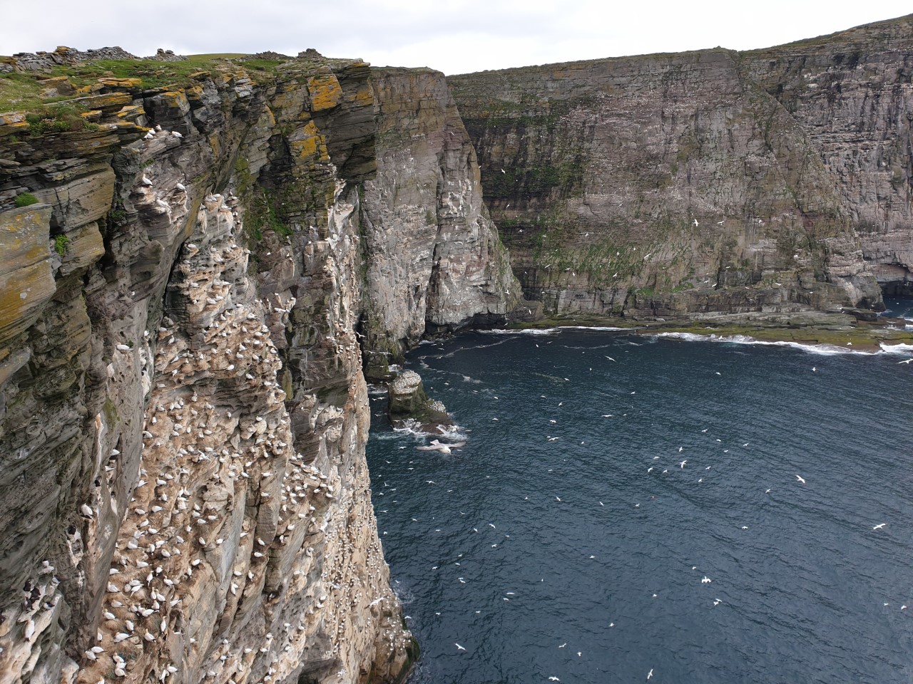 Sea cliffs.