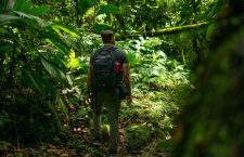 Into The Jungle: Ten Tips to Help You Prepare