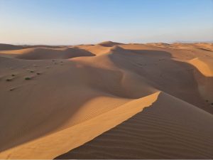 A sand dune in a desert