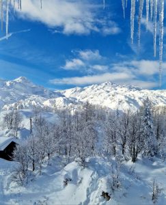 A view of a snow covered mountain with icicles framing the photograph.