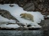 Legal Considerations for Medical Care in Polar Waters