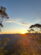 Bluey’s Sunset