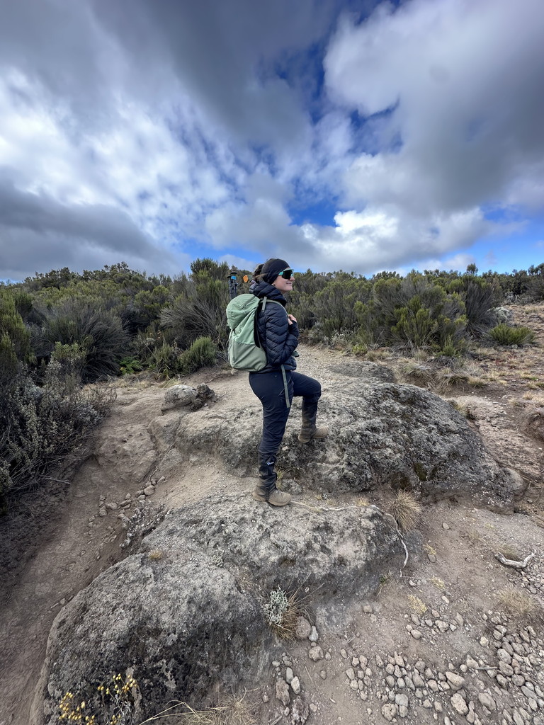 Trekking on Kilimanjaro