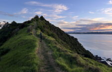 Urgent Care and Adventures in New Zealand