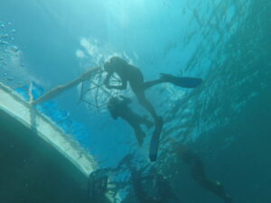 From Bradycardia to Barotrauma: An Expedition Medic's Guide to the Physiology of Freediving